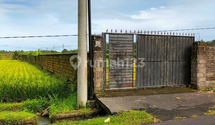 Tanah View Sawah Strategis Zona Kuning di Jalan Utama Baha Mengwi