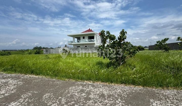 Dijual Tanah Tabanan