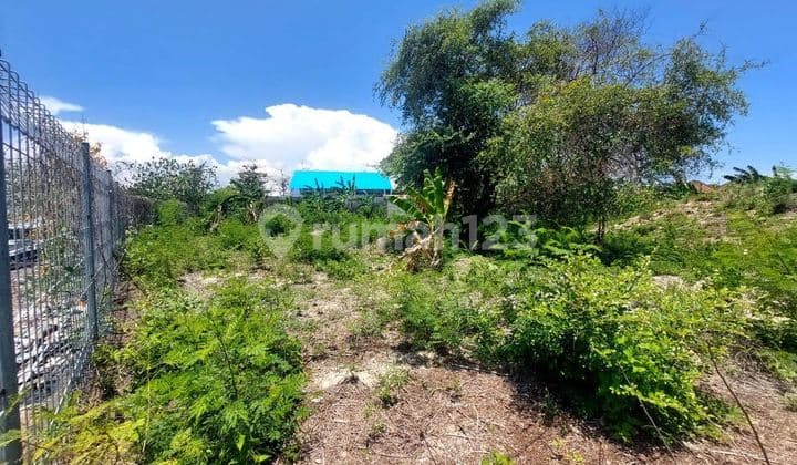 Dijual Tanah Komersil Los Pantai Tanjung Benoa - Bali