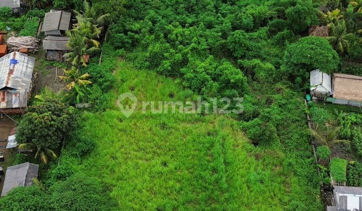 Tanah Lokasi Strategis di Jalan Utama Selukat, Gianyar