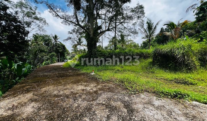 Tanah Kavling Strategis Dekat Hotel Bintang 5 Payangan, Ubud