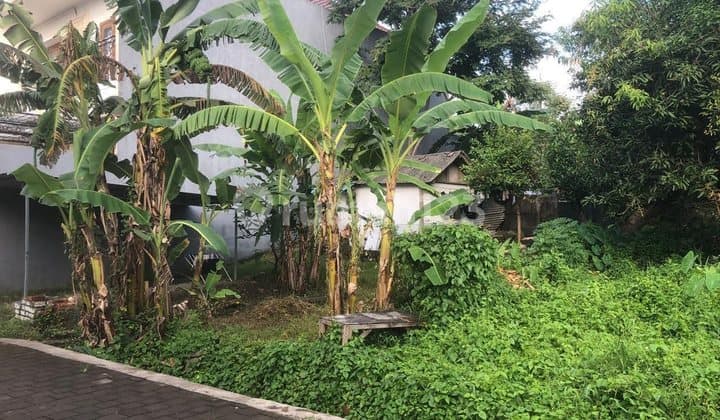 Dijual Tanah Prime di Canggu