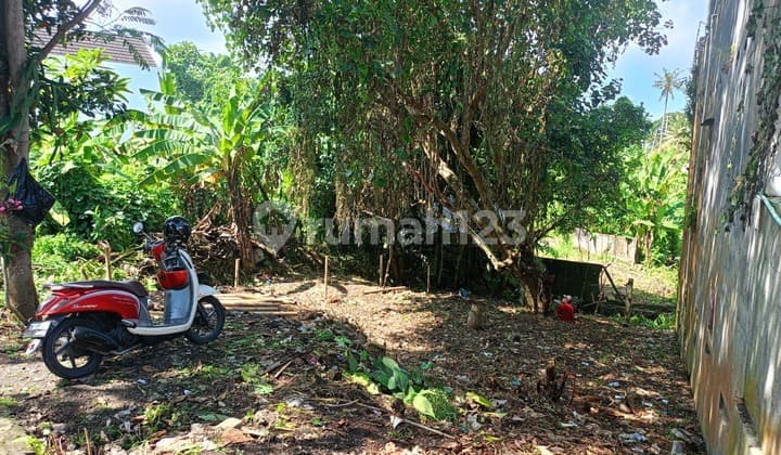Land on a Strategic River Close to Seseh Beach, Cepaka Munggu