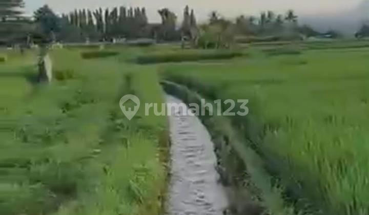 Tanah Luas Stragis Dekat Pusat Ubud di Peliatan, Gianyar Bali