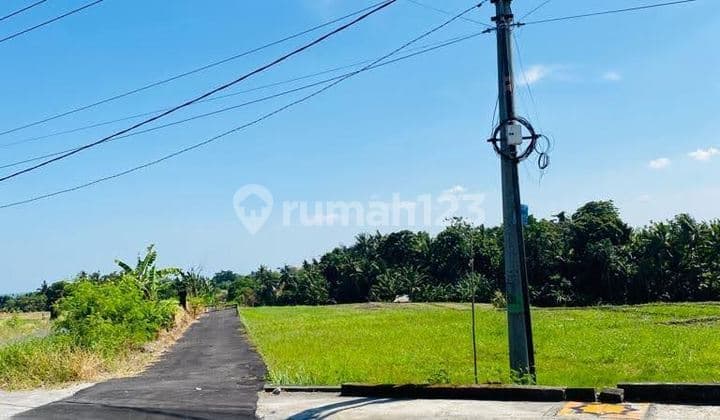 Tanah Datar Zona Kuning Siap Bangun View Sawah Tanah Lot