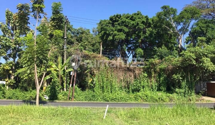 Land for Sale in Padang Lingjong, Canggu
