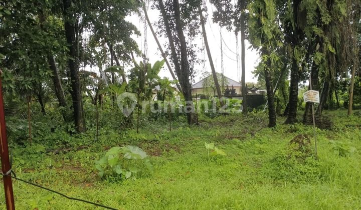 Tanah Kavling Zona Kuning Strategis Dkt Jembatan Nyuh Kuning Ubud