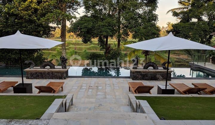 Villa Mewah Luas Furnished With Pool View Sungai dan Sawah, Ubud