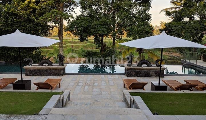 Villa Mewah Luas Furnished With Pool View Sungai dan Sawah, Ubud
