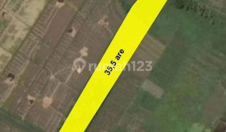 Tanah Strategis Zona Pariwisata View Sawah di Tabanan