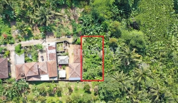 Tanah Bankar Biayahan Selemadeg Flood-Free Area