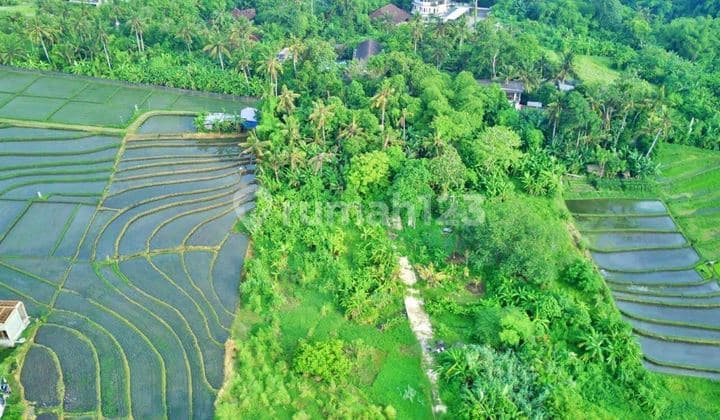 Beautiful Land for Sale at Nyanyi Beach, Tabanan
