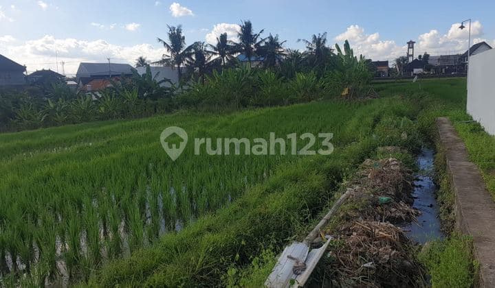 Dijual Tanah di Mengwi, Badung