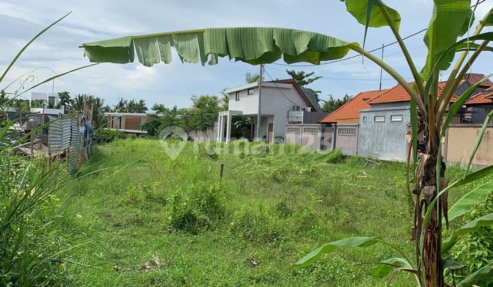 Very High Potential Commercial Land, Prime Location - Pererenan