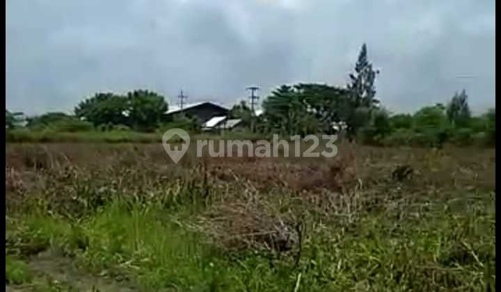 Industrial Zone 3 Land in Widang, Tuban