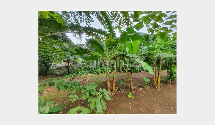 Tanah SHM Siap Bangun Area Ramai di Rangkapan Jaya