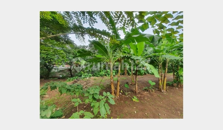 Tanah SHM Siap Bangun Area Ramai di Rangkapan Jaya