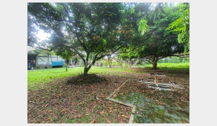 Tanah Pekarangan Strategis Dekat Masjid Raya Cinere Depok