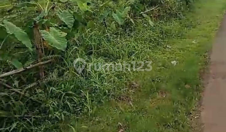 Dijual Tanah Kavling Jl Pangkalan Batu Dilendek Kota Bogor Luas 400M