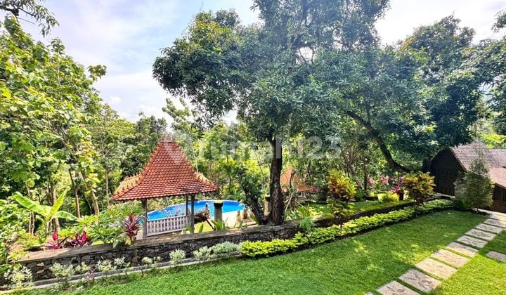 Private Estate For Rent In Lovina - 9,800 M² Land With Pool & Tropical Garden