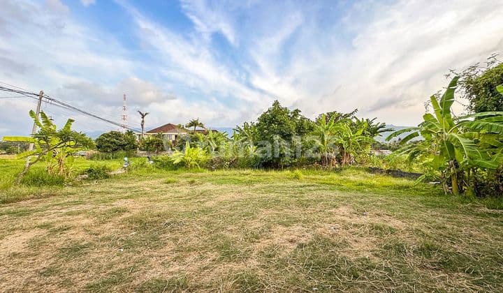 Freehold Land for Sale in Central Lovina – Only 100m from the Beach!
