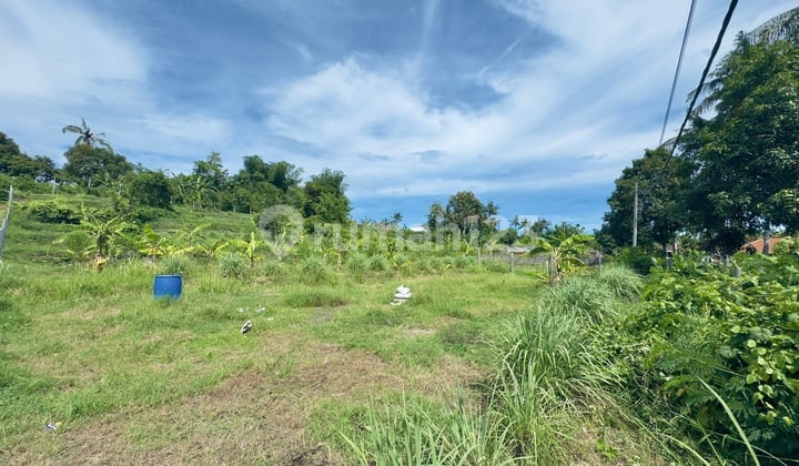 Strategic Land In Seririt - 1,600 M² Near Lovina Beach & Munduk