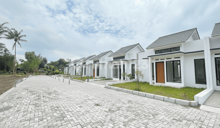 Tanah Kalasan Sleman Shmp Dekat Stadion Maguwoharjo