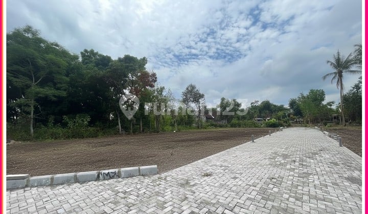 Dijual Tanah (Shmp) Kalasan Cocok Hunian Pensiun