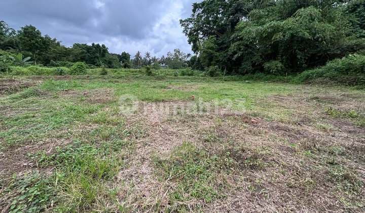 1 Unit Terakhir Tanah Pakem Sleman - Siap AJB