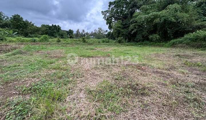 Last Unit of Land in Pakem Sleman - Ready for AJB (Deed of Sale)