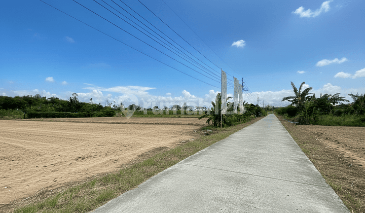 Tanah Godean Sleman Shmp Dekat Al Azhar Ayws