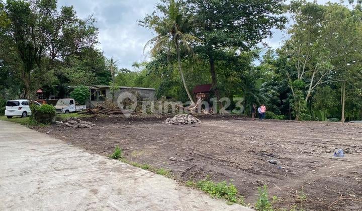 Tanah Pekarangan Sardonoharjo Ngaglik Sleman