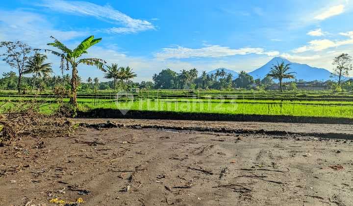 Tanah Sleman Cocok Villa & Homestay Utara Resto Jejamuran