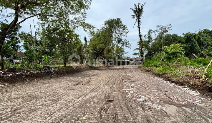 Tanah Murah Kalasan Sleman Dekat Pamela 7 Supermarket