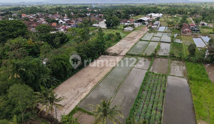 Tanah SHM Palagan Dekat Rm Jejamuran Sleman