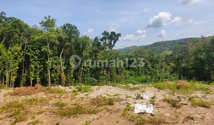 SHM Land South Bantul Jambidan Field