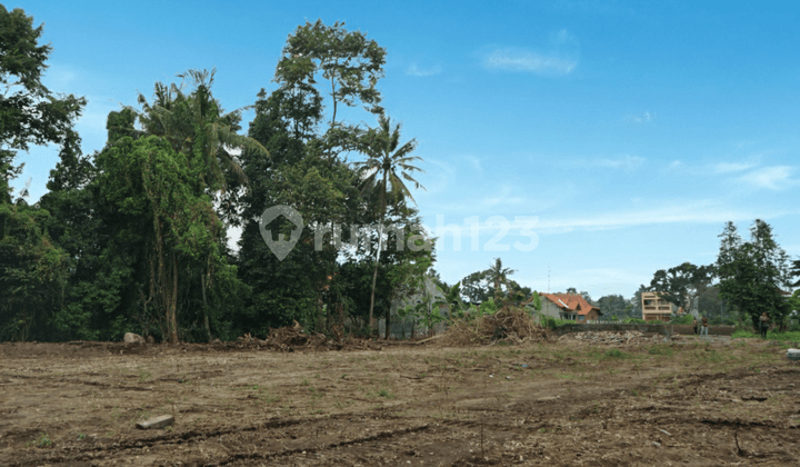 Tanah SHM Selomartani Sleman Utara Dwet Ringin Pak Bardi