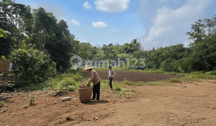 Tanah Siap AJB Barat Terminal Pakem Sleman