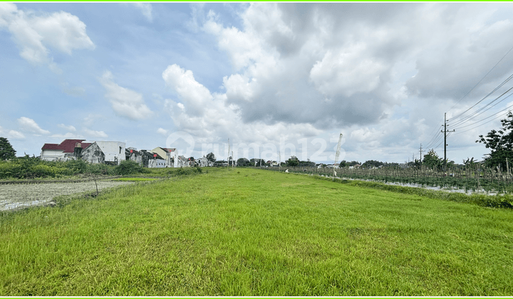 North Yard Land of PKU Muhammadiyah Gamping Hospital