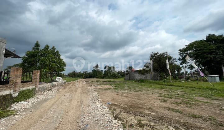 Strategic Land in Sleman Mangku Jl Pandowoharjo - 0% Installment