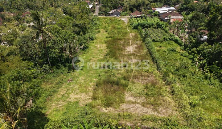 Kaliurang Cool Land Area - 1 Hectare Near Kopi Klotok