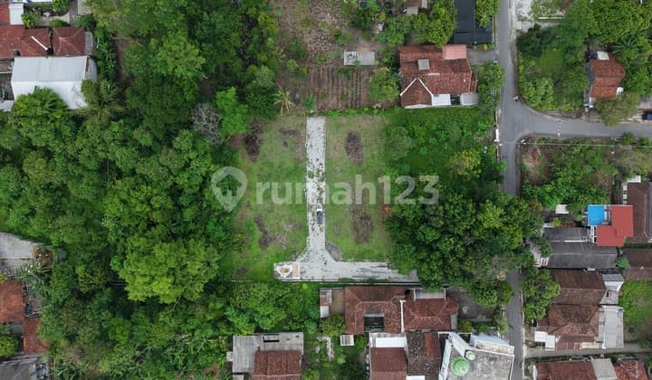 Golden Land Kalasan Near Prambanan Temple Tourism