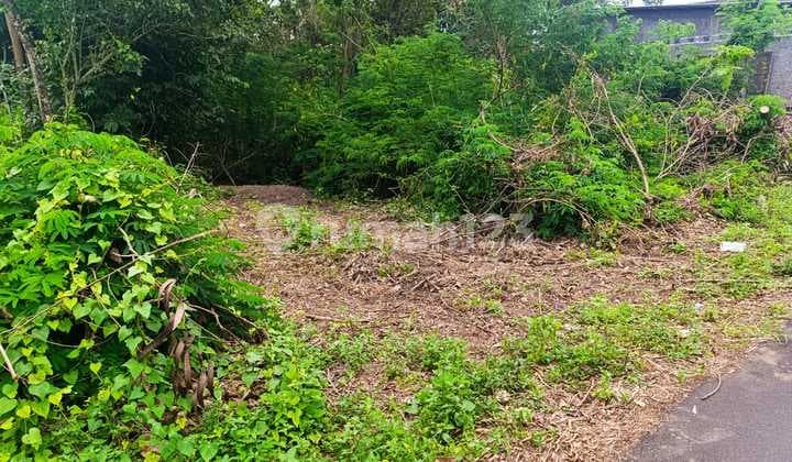 Tanah Sleman SHM, Dekat Smp Negeri 2 Kalasan