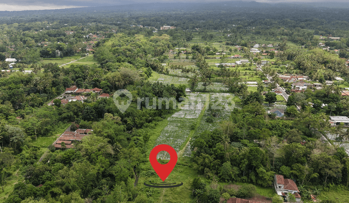 Sleman City Land, Price Starting from 2 Billion with Wide Road Access