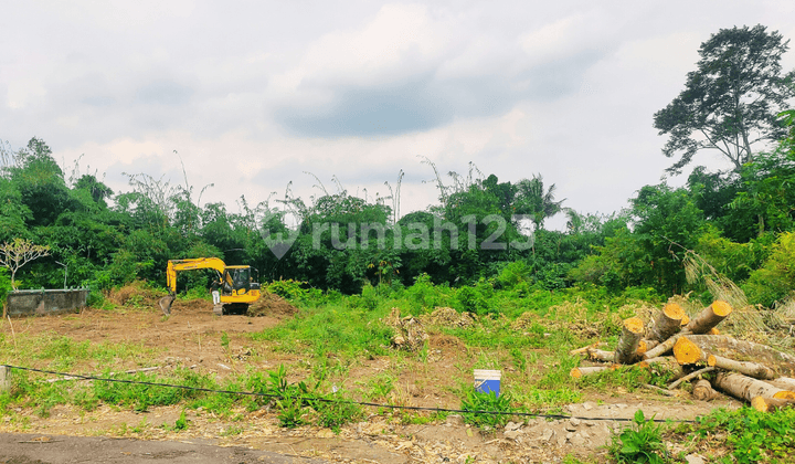 Tanah Emas Kalasan 100 Meter Dari Jalan Raya