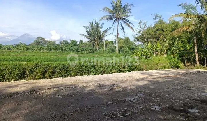 Tanah Sleman Mangku Jalan Raya, View Merapi