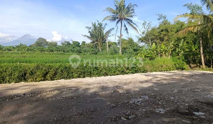 Tanah Sleman Mangku Jalan Raya, View Merapi