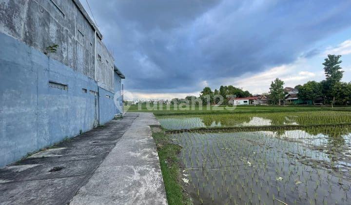 Tanah SHM Ready Area Caturtunggal Selatan Ambarukmo Mall