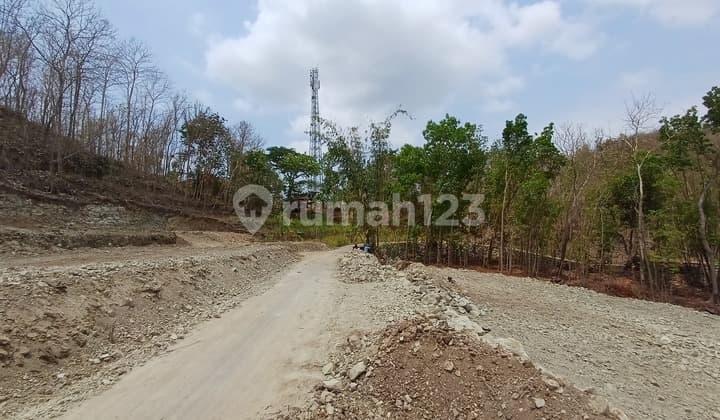 Tanah Murah Jogja Selatan, bisa Tempo Cocok untuk Investasi