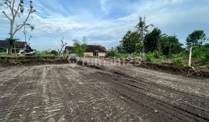 Tanah Jogja Area Kalasan Dekat Exit Tol Purwomartani